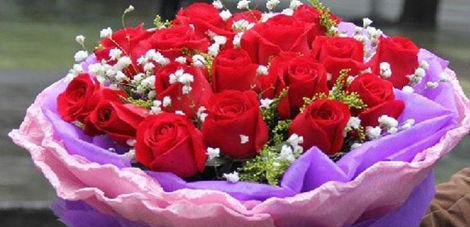 玫瑰花的数量与含义(揭开玫瑰花朵数所隐藏的秘密) 玫瑰花的数量与含义(揭开玫瑰花朵数所隐藏的秘密)