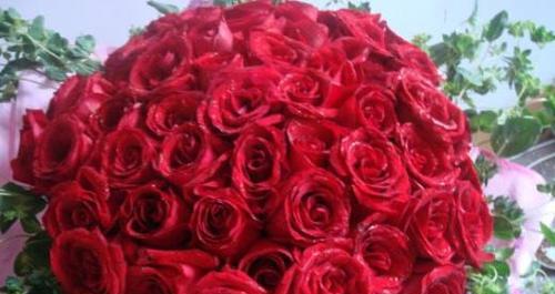 玫瑰花朵数的象征意义——爱情、友谊与祝福(玫瑰花朵数揭示心意的秘密) 玫瑰花朵数的象征意义——爱情、友谊与祝福(玫瑰花朵数揭示心意的秘密)