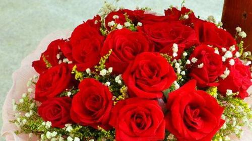 以玫瑰花送19朵的深刻寓意(玫瑰花19朵的神奇象征力量) 以玫瑰花送19朵的深刻寓意(玫瑰花19朵的神奇象征力量)