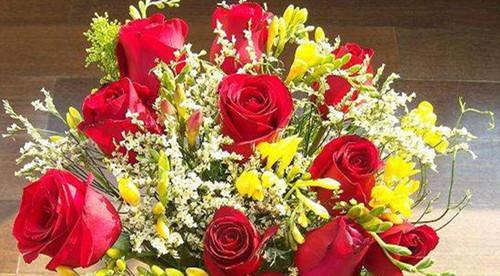 玫瑰花的数量与意义(解读玫瑰花背后的含义和传统) 玫瑰花的数量与意义(解读玫瑰花背后的含义和传统)