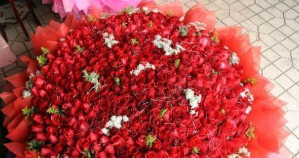 玫瑰花的数量与寓意(探究玫瑰花赠送数量的含义及象征意义) 玫瑰花的数量与寓意(探究玫瑰花赠送数量的含义及象征意义)