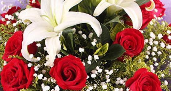 玫瑰花的意义与象征(以玫瑰花送几朵代表什么含义) 玫瑰花的意义与象征(以玫瑰花送几朵代表什么含义)