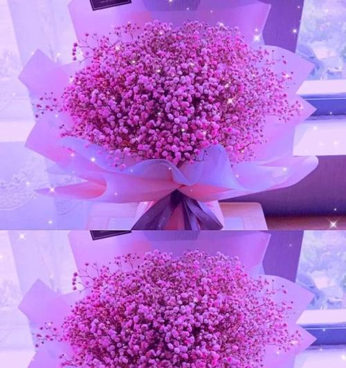 紫色满天星的花语与意义（揭秘紫色满天星所代表的深远花语）