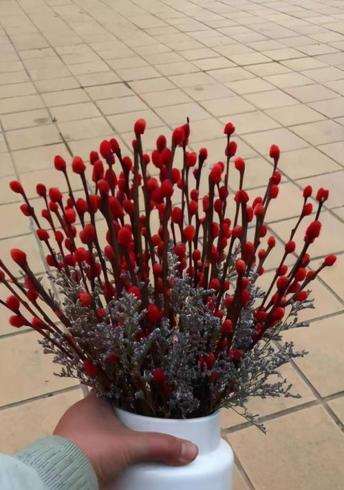 银柳花的寓意与象征——浪漫与富贵（在岁月中娇柔欲滴）
