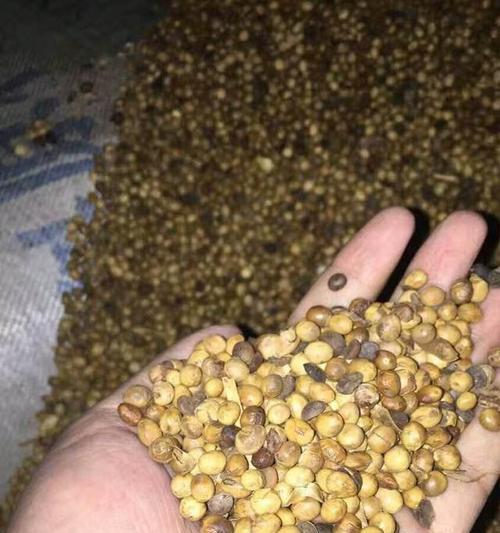 花生皮制成肥料能否替代化肥（花生皮资源再利用的新思路）