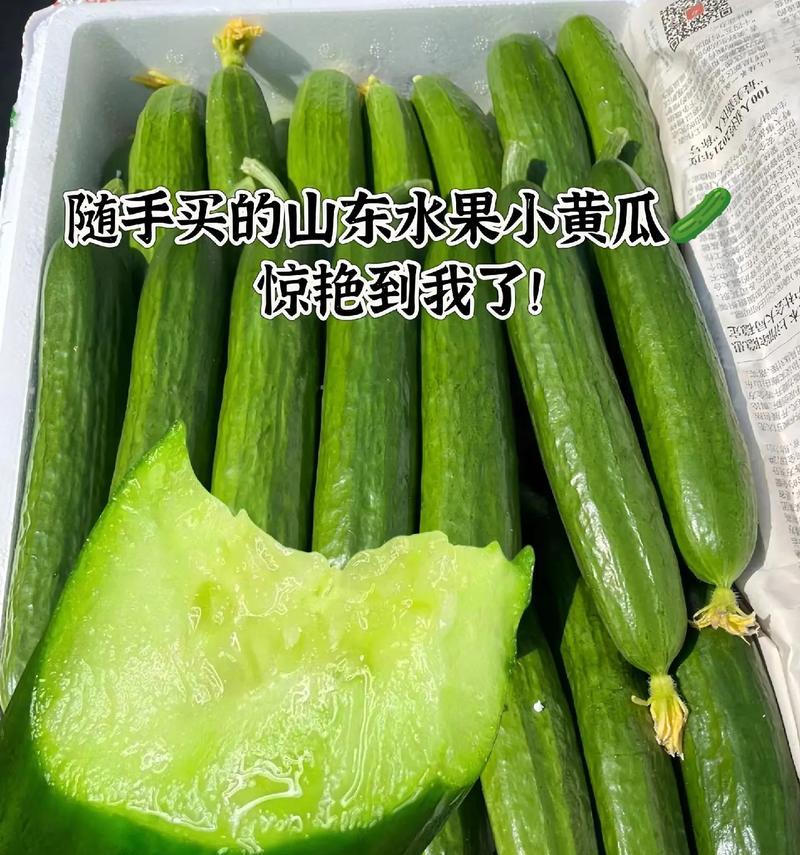 黄瓜喜阴还是喜阳？揭秘黄瓜生长的奥秘