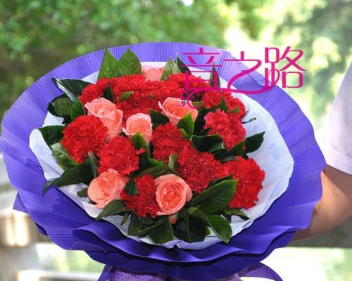 以香石竹的花语及其寓意（探寻以香石竹的花语与人生哲理）