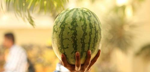 西瓜与生肖（解读以西瓜为象征的生肖动物及其寓意）