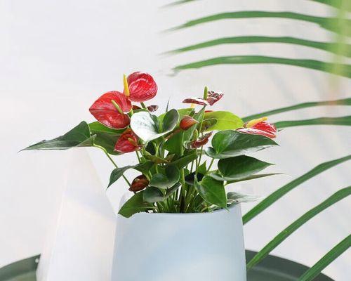 母爱花园（植物世界中的母爱力量与象征）