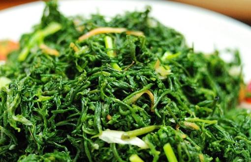 黄须菜的营养价值和食用方法（又名黄花菜）