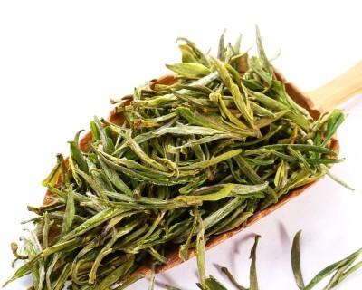 了解莫干黄芽，品味茶的芬芳（探究莫干黄芽的种类及功效）