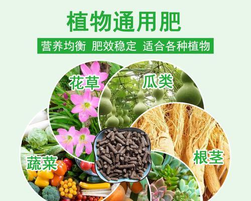牡丹花底肥的选择和施用方法（如何选择适合牡丹花的底肥）