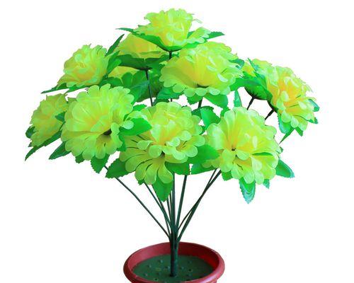 墓地适合种什么花（如何选择合适的花种）