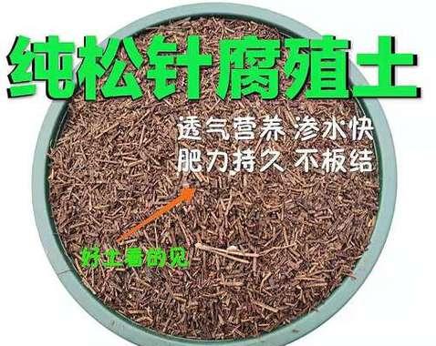 木头灰可以作为有机肥料的原因和使用方法（利用废弃木头灰为庭院和农田添置高效养分）