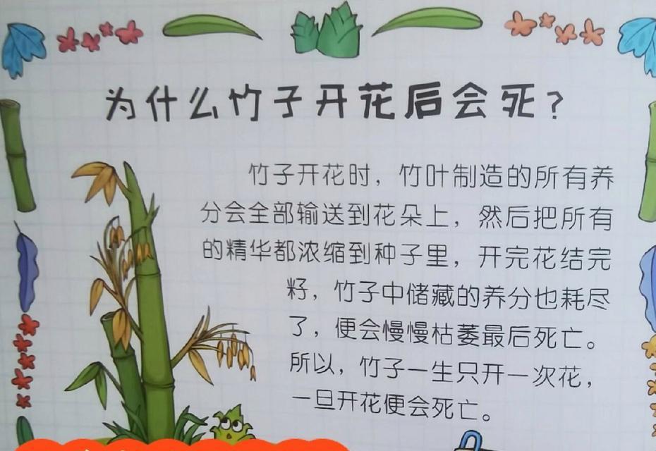 木槿花的种植与栽培技巧（栽种时间）