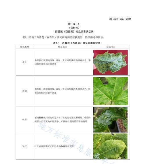 南瓜病虫害防治技术与方法措施（提高南瓜产量的关键）