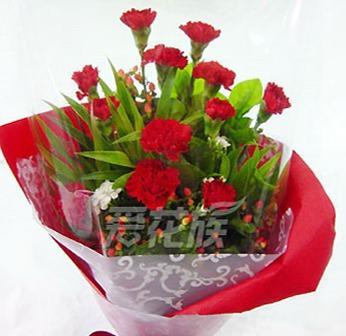 红色康乃馨的花语及其象征意义（红色康乃馨的激情与爱意）