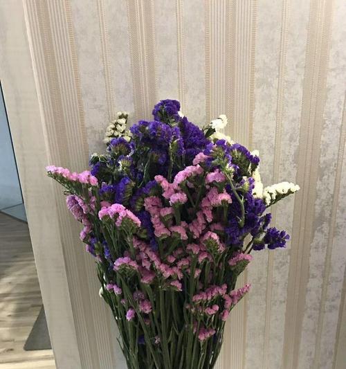 水晶花的花语——美丽而神秘的花卉之语（水晶花开出的幸福寓意）