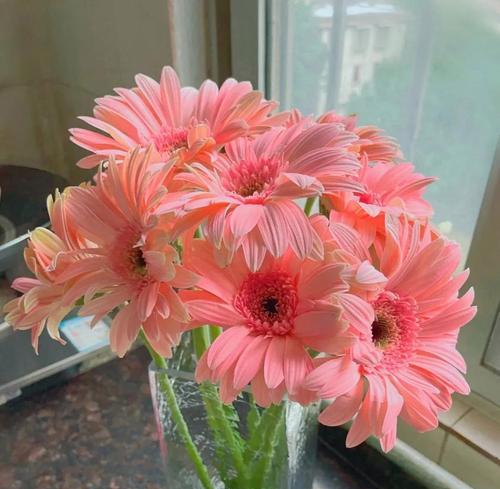 花的花语之美——解读各种花朵的含义（揭秘花海中的秘密）
