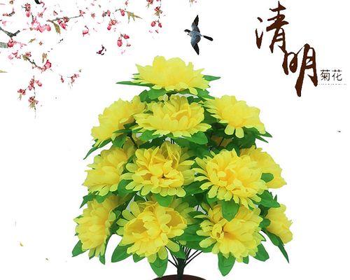 扫墓买花指南——如何选购适合祭扫的花卉（精选15种墓前花卉）