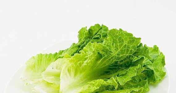 生菜，营养丰富的蔬菜（了解生菜）