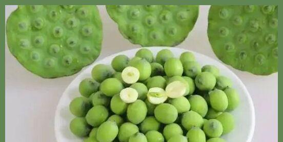 生莲子的健康功效与食用方法（解读生莲子）