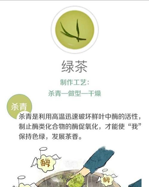石化桧的盆栽时间和养护方法（打造美丽盆景轻松养护常识）