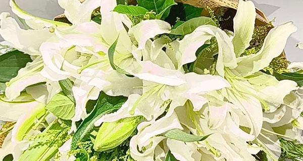 白百合花语的寓意(探究白百合所传达的丰富情感内涵) 白百合花语的寓意(探究白百合所传达的丰富情感内涵)