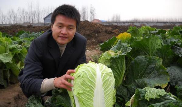 白菜的正确浇水方法（让白菜健康成长的关键要点）