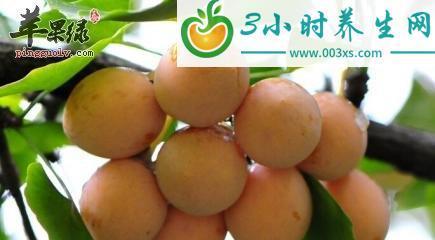 白果的营养价值与食用方法（白果能直接吃吗）