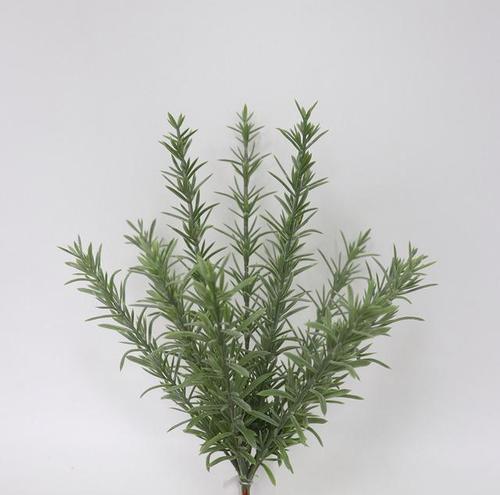 百里香开花后的处理方法（保养方法及注意事项）