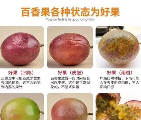 百香果的生长温度及其影响（探究百香果最适宜的生长温度）