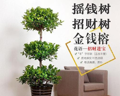 办公室招财必备（打造绿色办公环境）