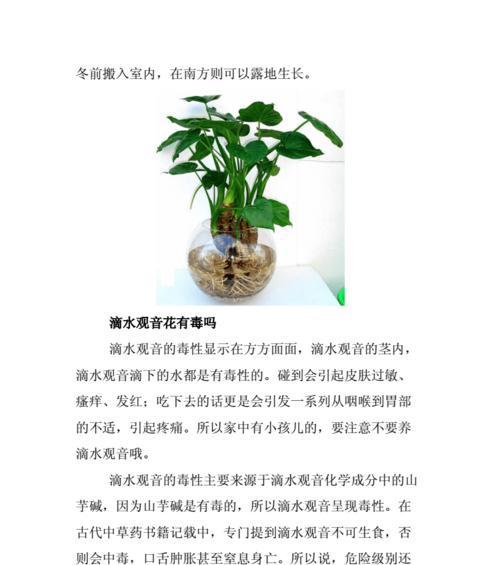 半夏高产种植技术与管理方法（打造高效）