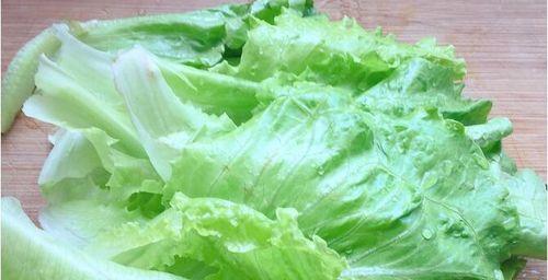 包生菜能否生吃（探讨包生菜的食用方式及注意事项）