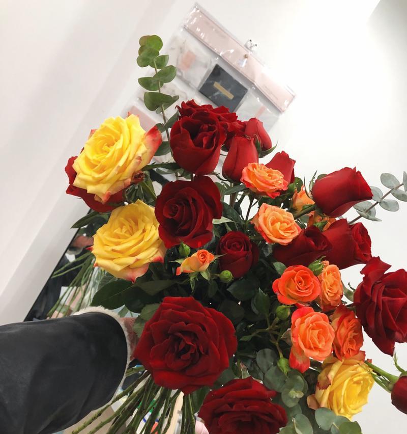 19朵玫瑰花的寓意及象征意义（传递爱与祝福）