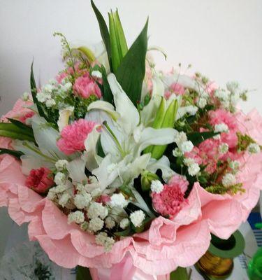 康乃馨的象征意义及其启示（一朵花）