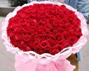 99朵玫瑰花的含义（花海中的浪漫情愫与深情厚意）