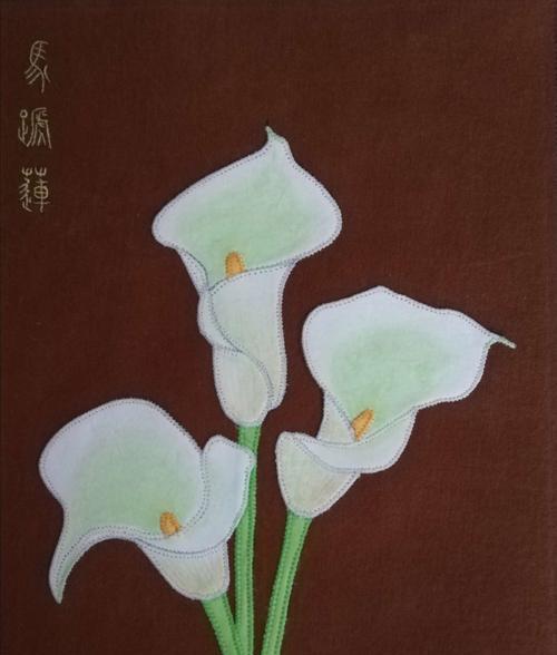白色马蹄莲（探秘白色马蹄莲的花语及寓意）