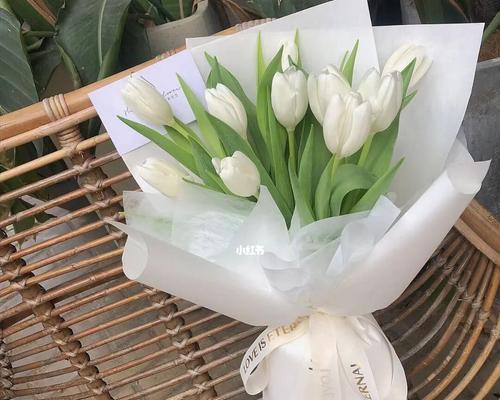 白色郁金香花语（美丽的白色郁金香花开）