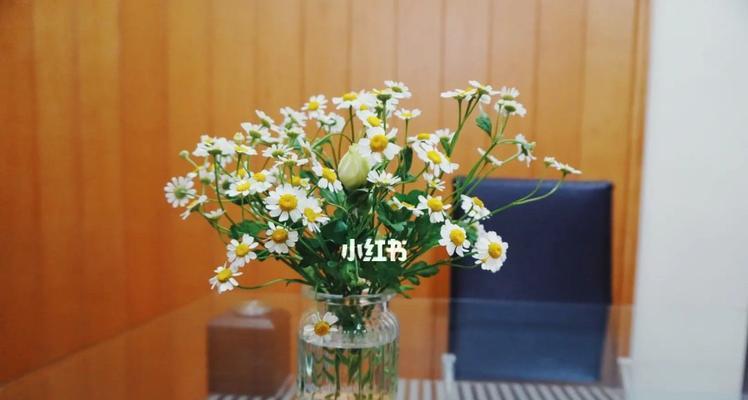 雏菊的花语与象征意义（揭示雏菊花朵所代表的意思与寓意）