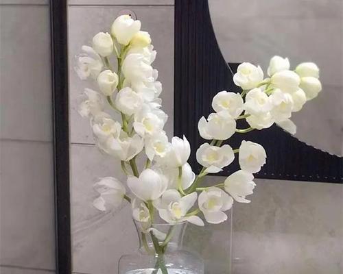 大花蕙兰花语（一朵花传递的15种情感）