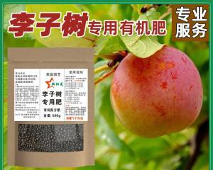 果树苗肥料选用指南（如何为果树苗选择最佳肥料）