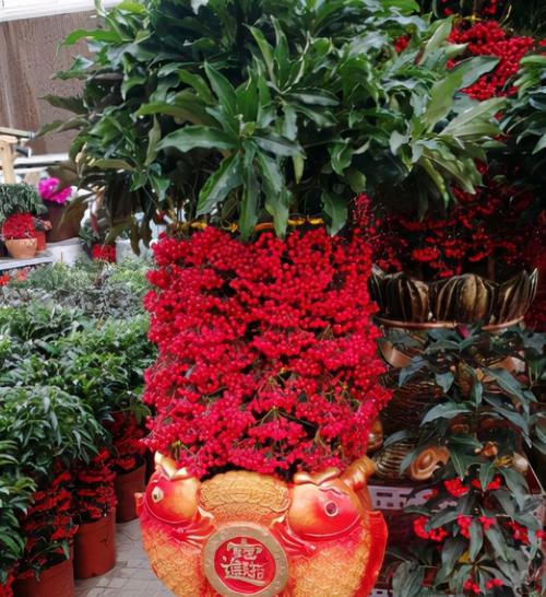 过年送花这样选，不但吉祥还有情（送花必备攻略）