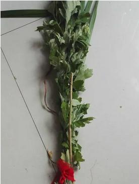 端午节挂艾草的寓意与传统习俗（艾草祈福）