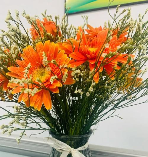 蓝色非洲菊花（探寻蓝色非洲菊花的花语与魅力）
