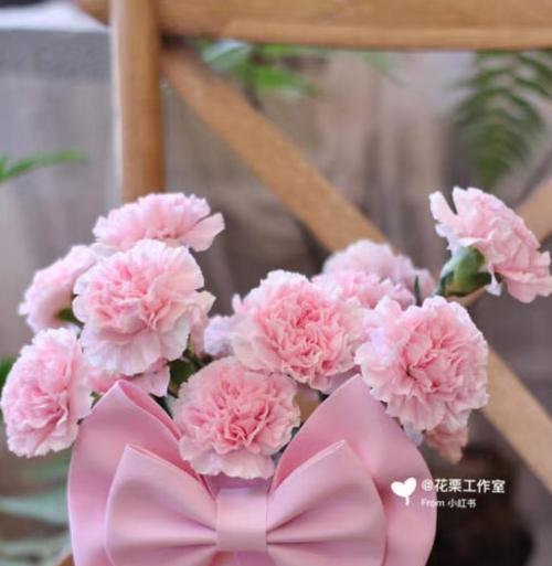 康乃馨的粉色芬芳与爱的象征（粉色康乃馨的浪漫与温馨）