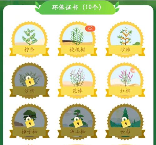 哈密瓜授粉时间与方式方法详解（掌握正确的授粉技巧）