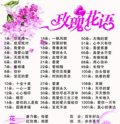 粉色玫瑰（粉色玫瑰的花语和寓意）
