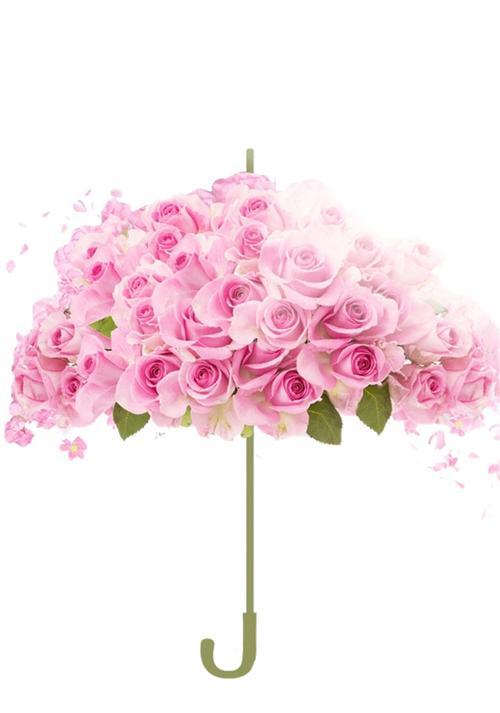 粉色玫瑰花的寓意及象征意义（探索粉色玫瑰花的浪漫）